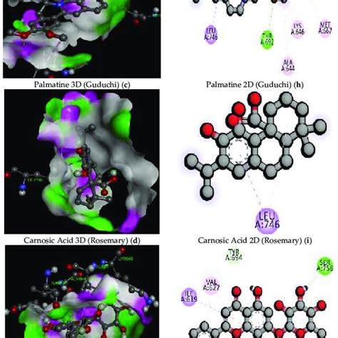 2d And 3d Docking Poses Of The Native Ligand Af And Phytochemicals