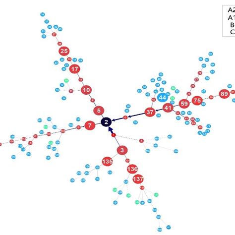 exponential random graph model ergm analysis results download scientific diagram