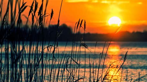 Crops Sunset Lake 4k Hd Nature Wallpapers Hd Wallpapers Id 41585