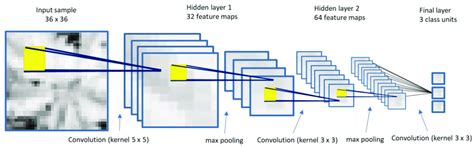Example Of The Convolutional Neural Network CNN Model Architecture Download Scientific