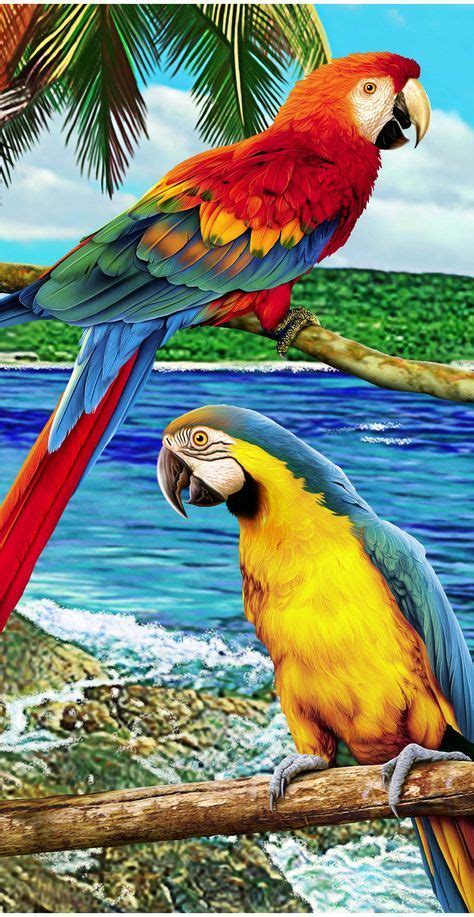 Colorful Amazon Parrots Towel Parrots Art Birds Parrot Painting