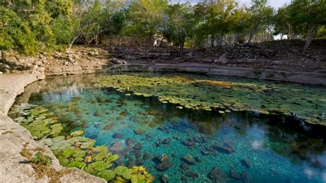 Cenote Xlacah En Dzibilchaltún Yucatán Explorando Cenotes