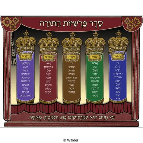 The Parshios of the Torah | Walder Education