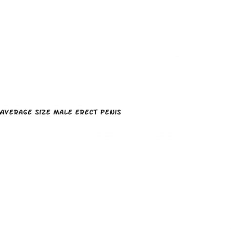 Average Size Male Erect Penis