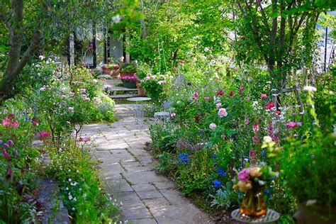 冬の手入れで春に違いが出る！美しいバラの庭で行われている冬の庭仕事 Gardenstory ガーデンストーリー