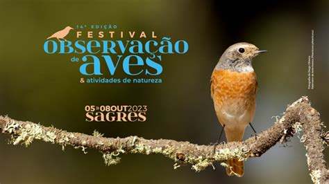 Festival De Observação De Aves De Sagres 2023
