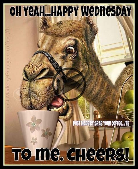 Enjoy Your Wednesday Humpday In Hump Day Quotes Funny Hump