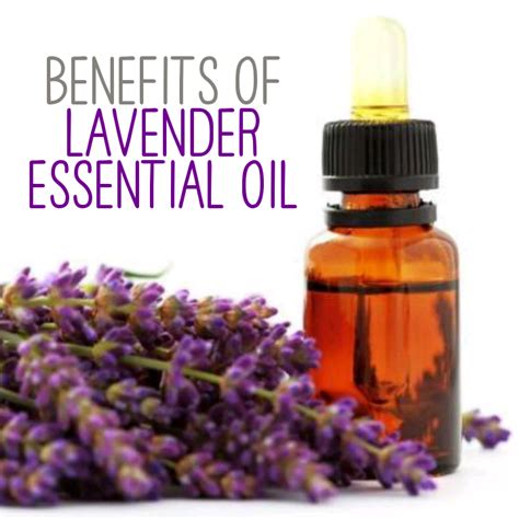 Amazing Benefits And Uses Of Lavender Essential Oil Infographic