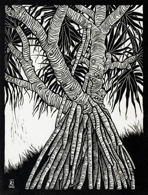 Linocuts By Artist Rachel Newling Of Australian Landscape Trees
