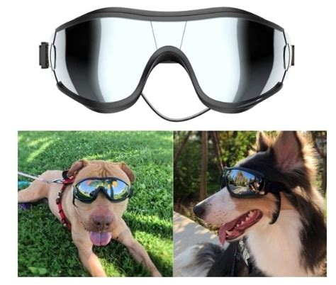 The Best Dog Goggles And Sunglasses For Optimal Eye Protection