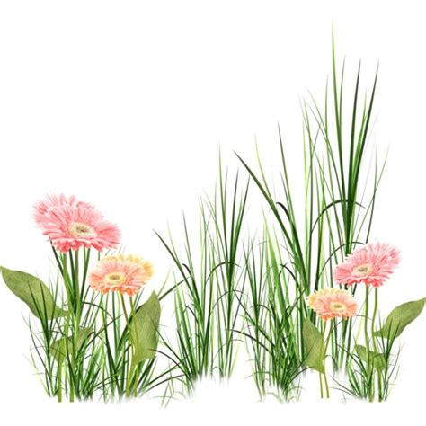 Pink watercolor flower frame for wedding invitations. fleurs - Page 21 | Floral grasses, Flowers, Plant illustration