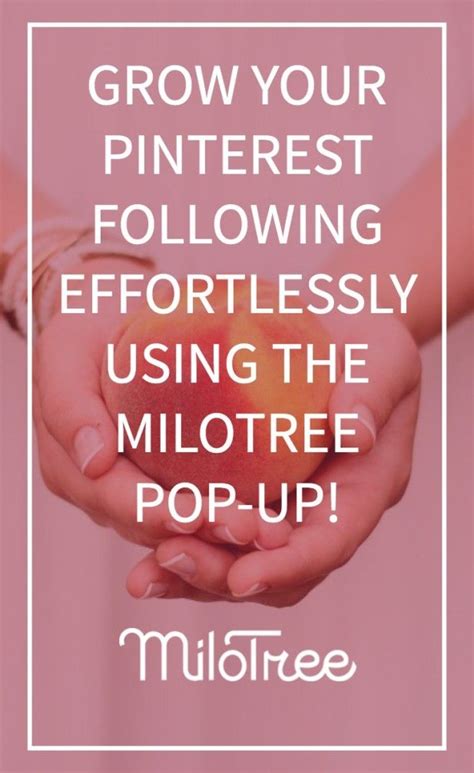 how to get more followers on pinterest pinterest strategy pinterest marketing pinterest tools