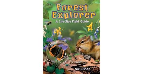 Forest Explorer A Life Sized Field Guide By Nic Bishop