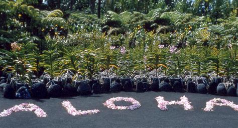 Fileflowers Arranged To Aloha Hilo Hawaii Wikimedia Commons