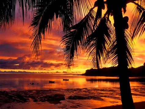 Free Download Tropical Island Sunset Hd Wallpapers Tropical Island