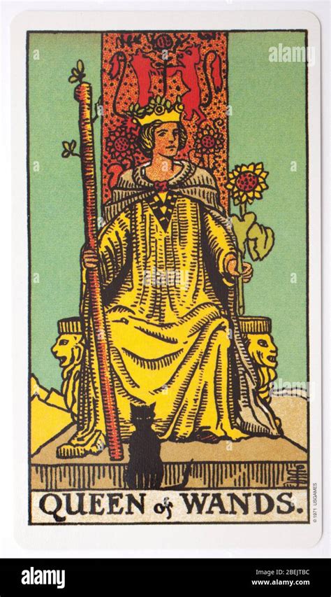 A Single Tarot Card The Queen Of Wands Used For Fortune Telling Stock