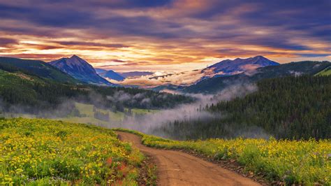 Wallpaper Trees Landscape Forest Mountains Sunset