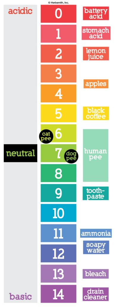 Dog Urine Color Chart The O Guide