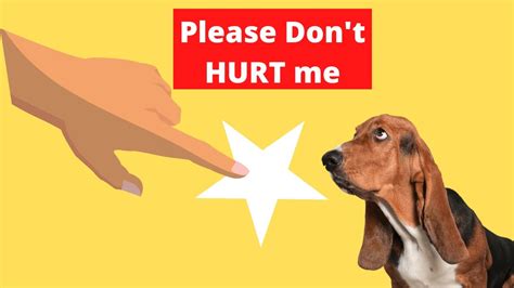 9 Ways You Are Hurting Your Dog Without Realizing Youtube
