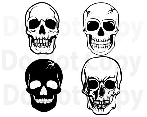 Skull Svg Bundle Skulls Svg File For Cricut Human Skull Etsy