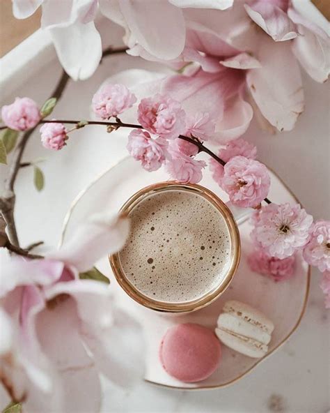 Flowers 🌺 On Twitter Coffee Flower Coffee Photography Spring Coffee