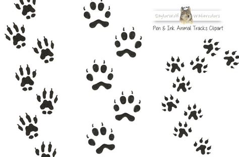 Animal Tracks Svg Free 2016 File For Free Best Free Svg Download