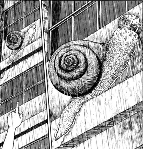 Snail And Slug Art By Junji Ito Manga