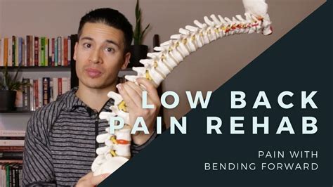 Rehab Exercises For Low Back Pain Bending Forward Youtube