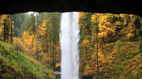 5 Best Easy Hikes At Silver Falls State Park