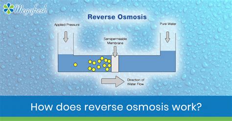 How Does Reverse Osmosis Works Megafresh Water Filters