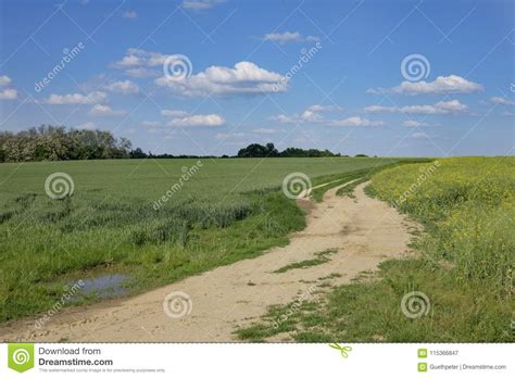 Hungarian Scene In The Spring Stock Image Image Of Grass Farmland