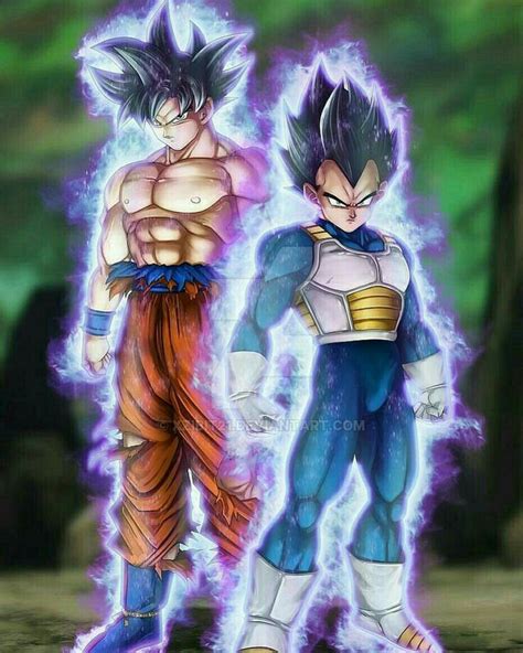 Goku And Vegete Ultra Instinct Anime Dragon Ball Super