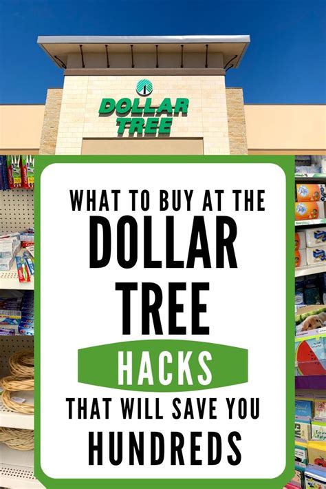 30 Best Things You Should Always Buy At The Dollar Tree In 2020