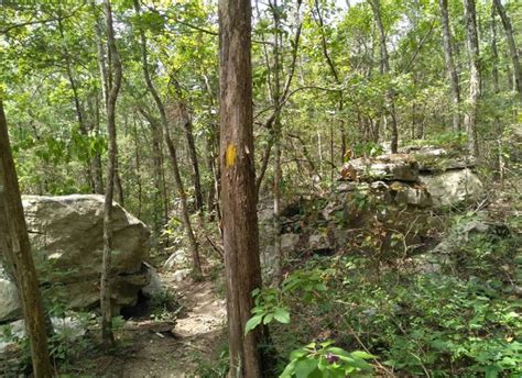 Alabamas Lost Sink Trail Leads To A Little Known Waterfall