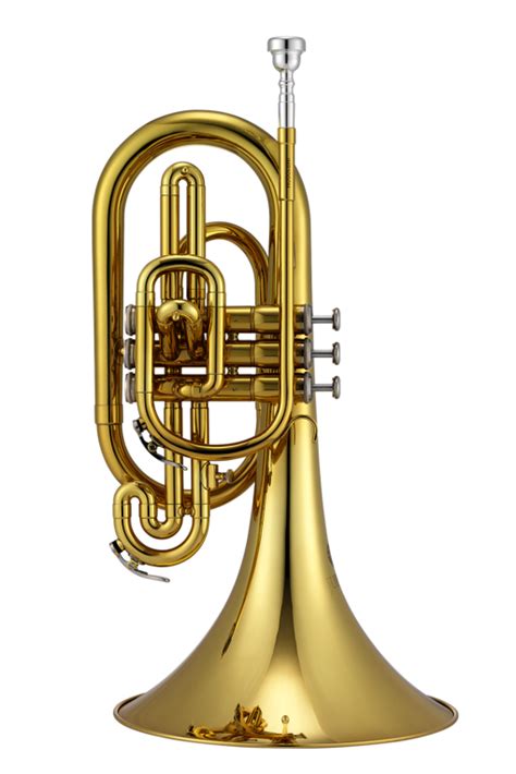 Standard Jupiter Blasinstrumente