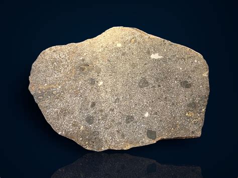 Mesosiderite Meteorite End Piece For Sale 49 Kg Fossil Realm