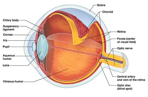 What Is Astigmatism Causes Symptomstreatment