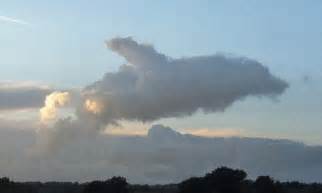 Flying Flipper Remarkable Cloud Shaped Just Like A Dolphin Spotted Leaping Through The Skies