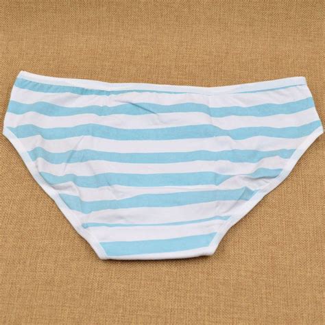 Blue Pink Stripe Harajuku Lolita Girl Panties Underwear Intimate