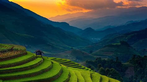 Download Rice Farms Landscape Horizon Mountains Philippines