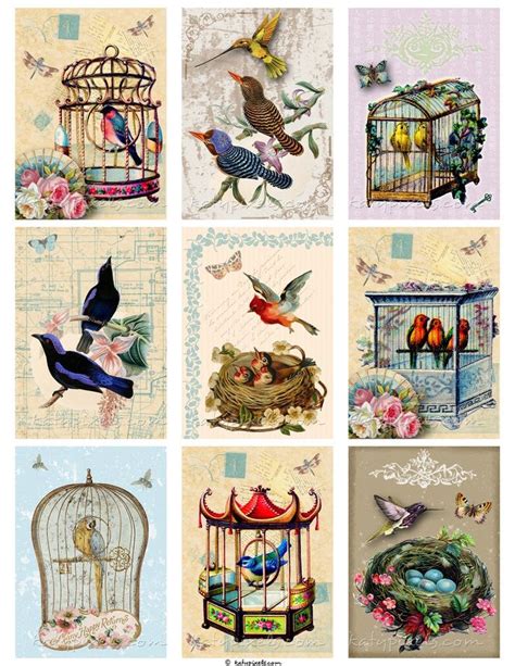 Free Vintage Collage Sheets Vintage Birds Printable Tags Digital