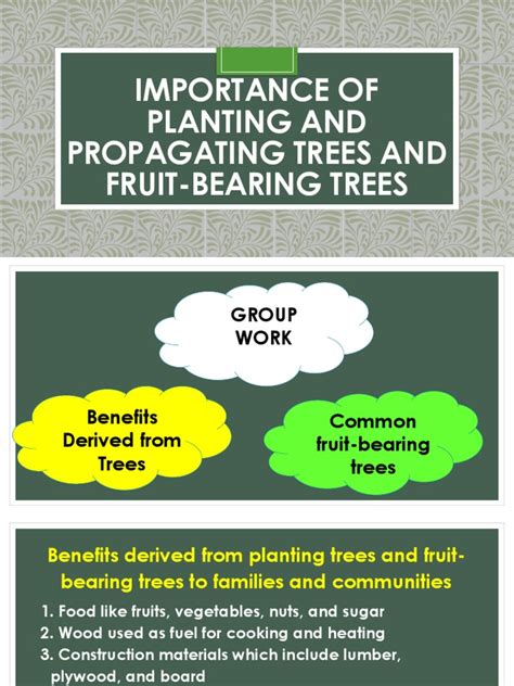 Importance Of Planting And Propagating Trees And Fruit Bearing Autosaved Pdf Trees Plants