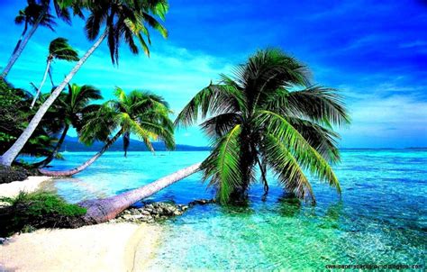 Tropical Landscape Wallpapers - Top Free Tropical Landscape Backgrounds ...