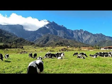 Rumah anak yatim al aman beaufort jabatan hal ehwal agama islam negeri sabah, peti surat 225, 89808 beaufort, sabah tel : Asal Usul Nama Daerah-Daerah Di Sabah - YouTube