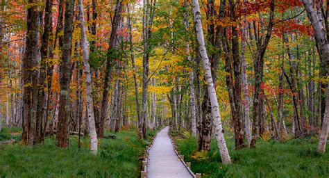 Jesup Path Acadia National Park Justin Terveen Flickr