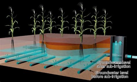 Underground Irrigation Can Satisfy Agricultural Water Demand KWR