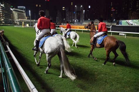 The hong kong jockey club receives more than hk$10 billion in annual betting revenues from sha tin and happy valley. Horse Racing 2020-2021 in Hong Kong - Dates