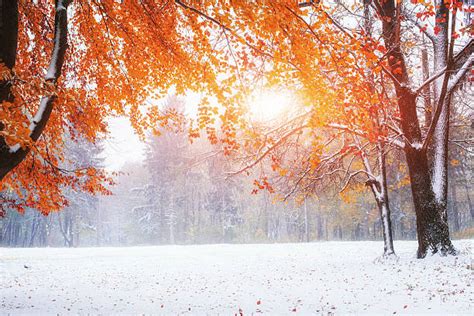 November Scenery Stock Photos Pictures And Royalty Free Images Istock