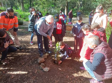 gobierno municipal inicio campaña de reforestación en el parque recreativo “el pinal”