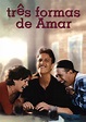 Tres formas de amar - película: Ver online en español